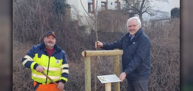 Apfelsorte "Odenwälder" ist Obstsorte des Jahres 2022 