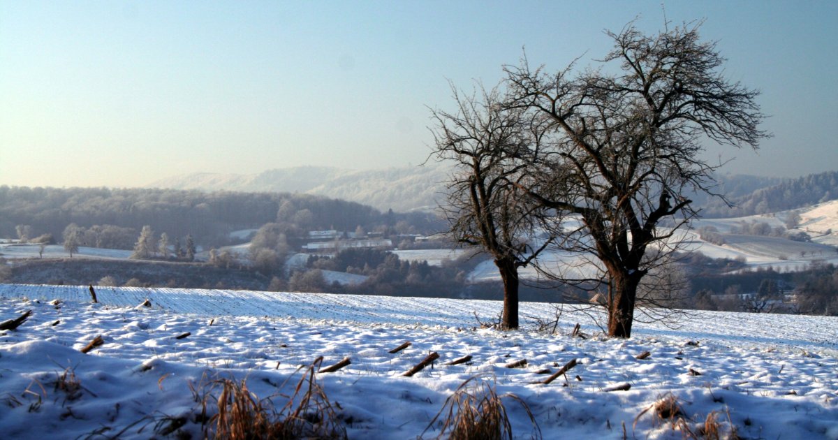 Weihnachtsmarkt Gemeinde Mühltal